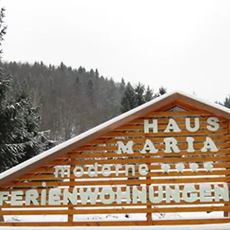 Haus Maria Apartment Todtnau